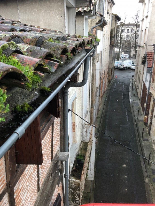 Pose de pics contre les pigeons sur la commune de Bordeaux